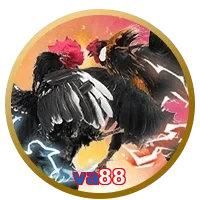 va88